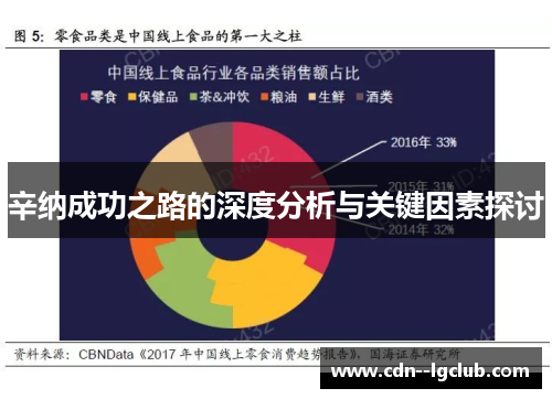 辛纳成功之路的深度分析与关键因素探讨