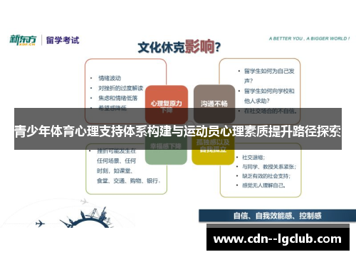 青少年体育心理支持体系构建与运动员心理素质提升路径探索