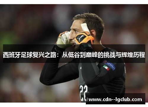 西班牙足球复兴之路：从低谷到巅峰的挑战与辉煌历程